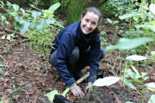 Emilia plants a young Rimu seedling