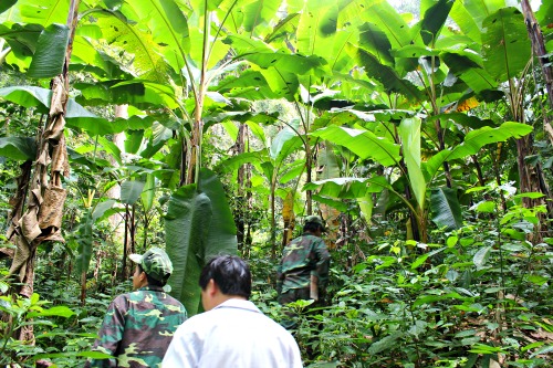 Forest patrol with the CCT rangers