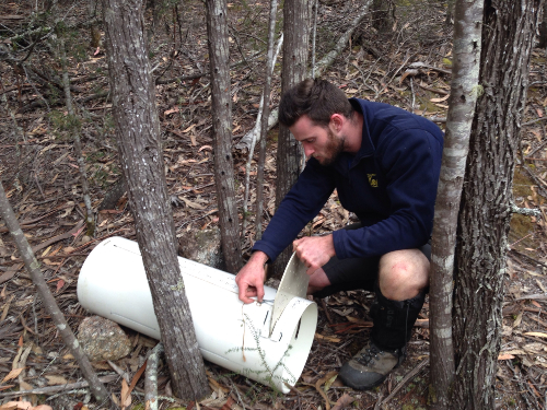 Jeff setting up a Devil trap on the bank of a dry creek