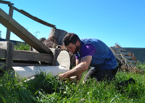 Jeff setting up a Devil trap in the habitats