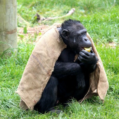 Sam with blanket