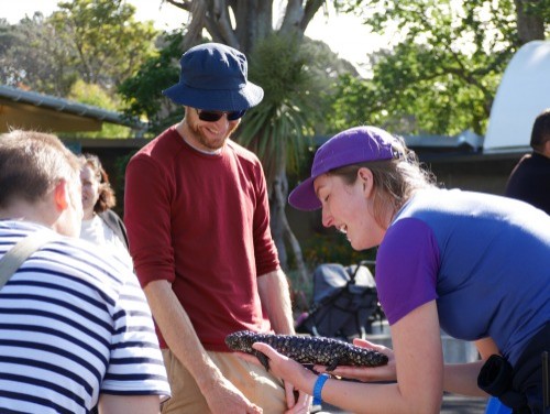 Zoo Staff member Bex Diederichsen introducing a Shingleback Skink