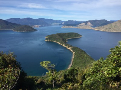 Stunning view from Maud Island