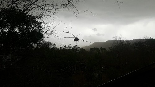 The first rain of the year arriving - you could hear it coming!