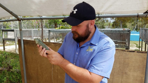 Dave holding a juvenile Blue Iguana