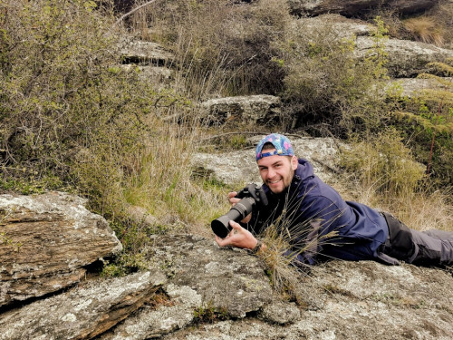 Joel photographing an Otago Skink