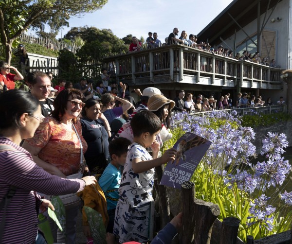 The Zoo put on special animal talks for visitors, including a Chimp talk 